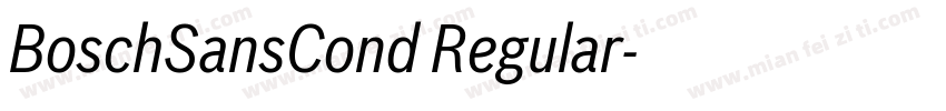 BoschSansCond Regular字体转换